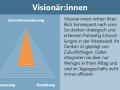 nl_2025_01_visionaer
